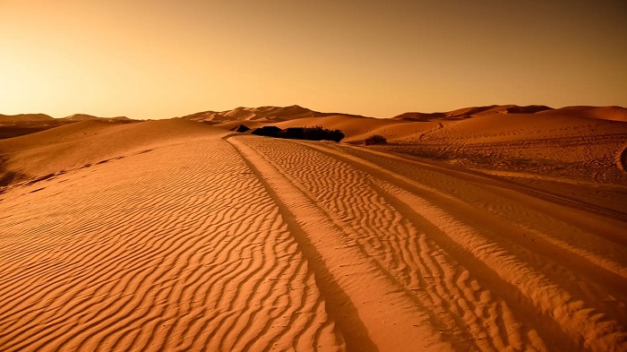 El desierto de Sahara al norte de África, es un ejemplo de biósfera