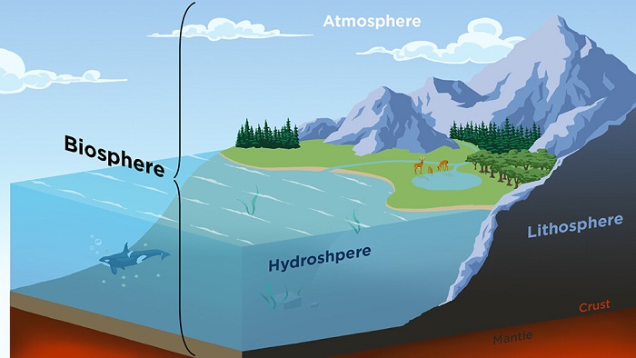 ejemplos de biósfera natural