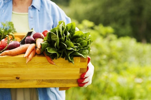 Ejempos de alimentos naturales, verduras