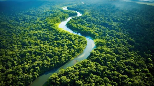 selva tropical del amazonas ejemplo de biósfera natural - Ejemplos de biósfera