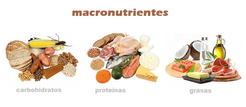 10 ejemplos de macronutrientes - carbohidratos, proteínas y grasas son 3 tipos de macronutrientes que agrupan diferentes alimentos